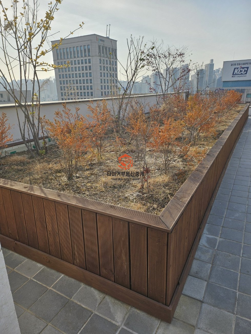 사진 8