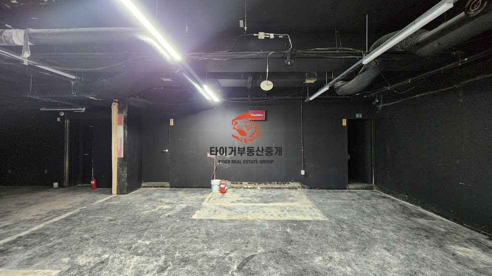 사진 5