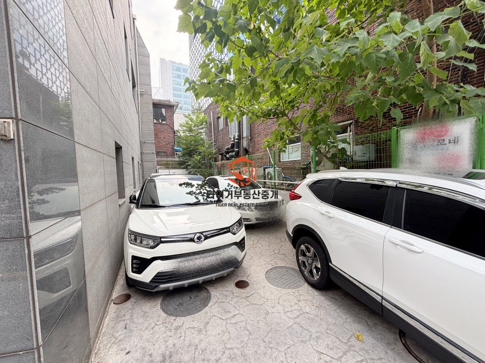 사진 14