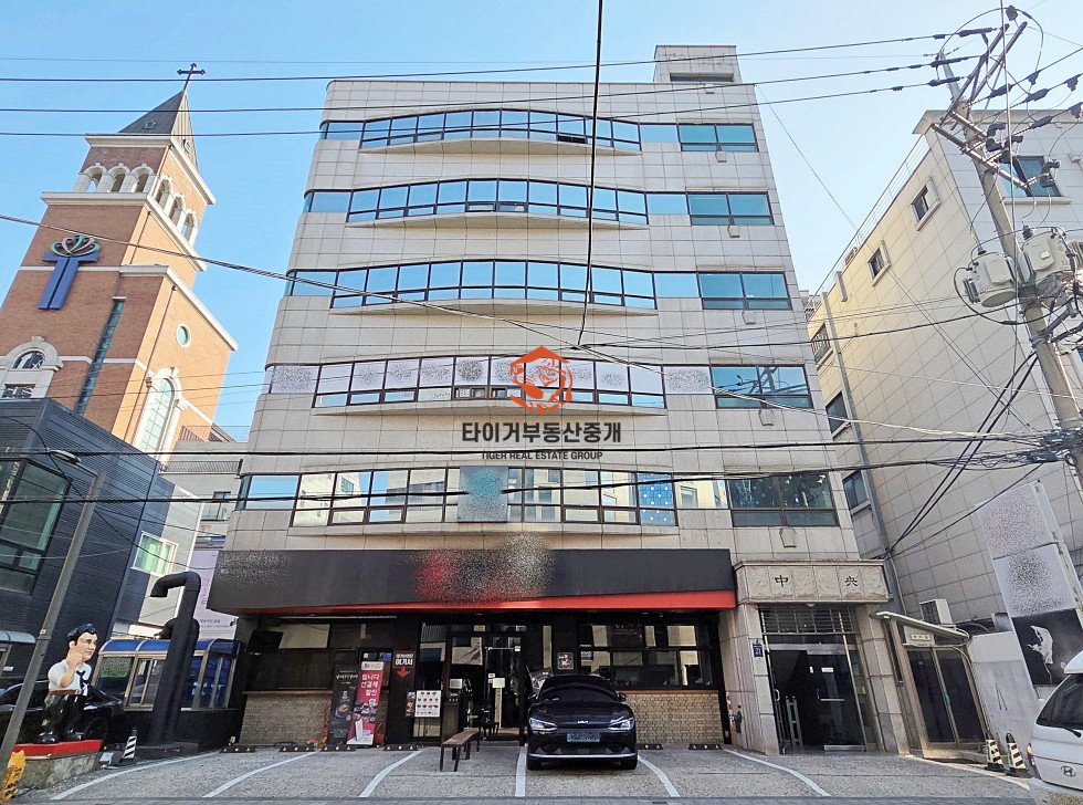 사진 15