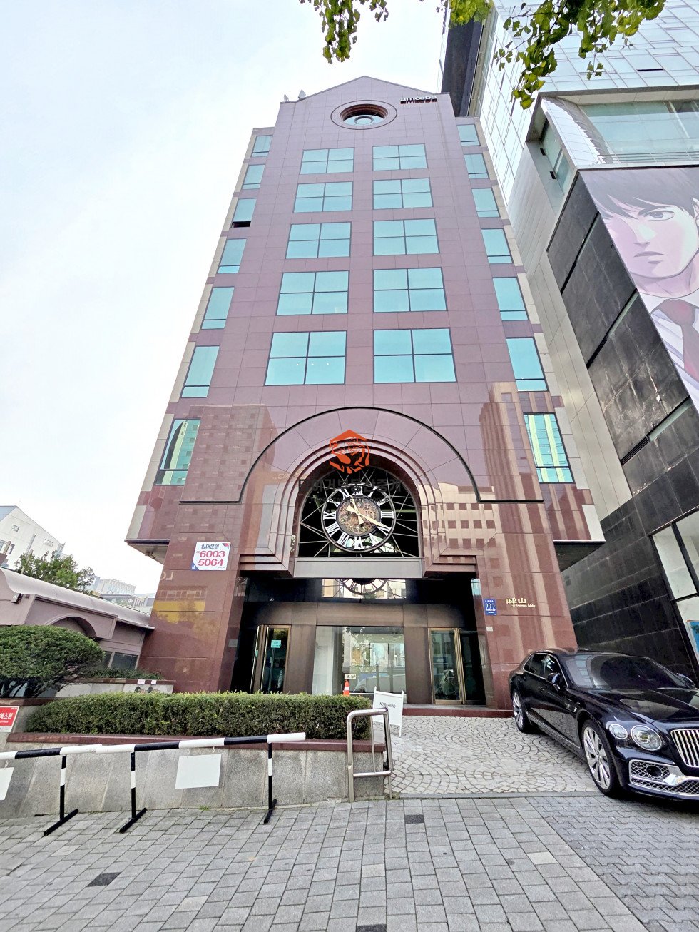 사진 12