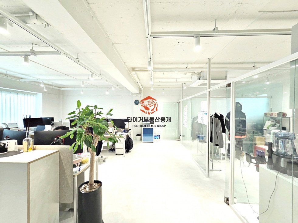 사진 5