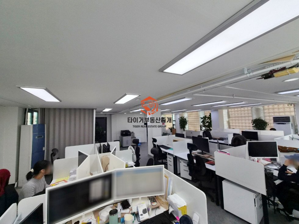 사진 5