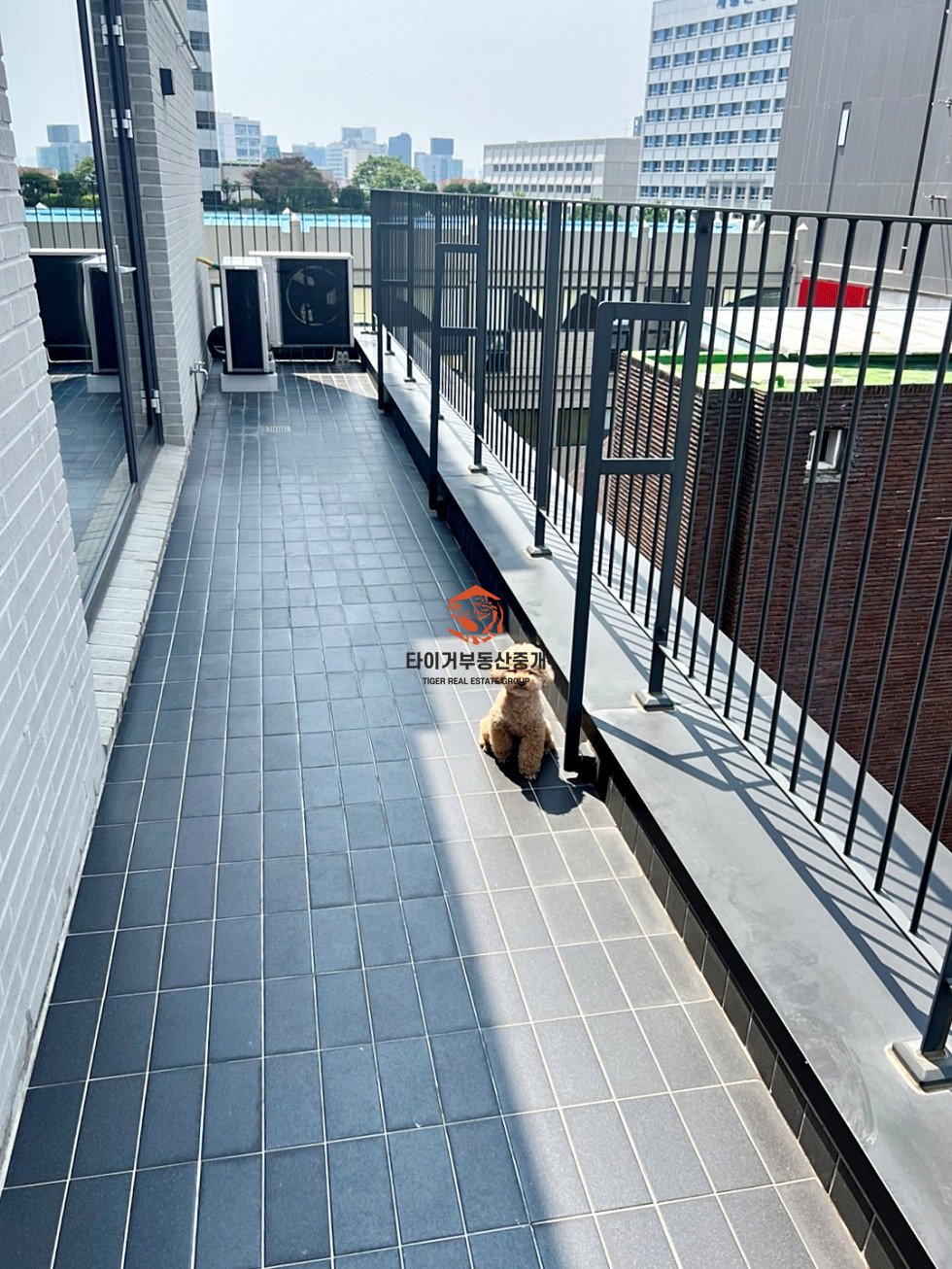 사진 9