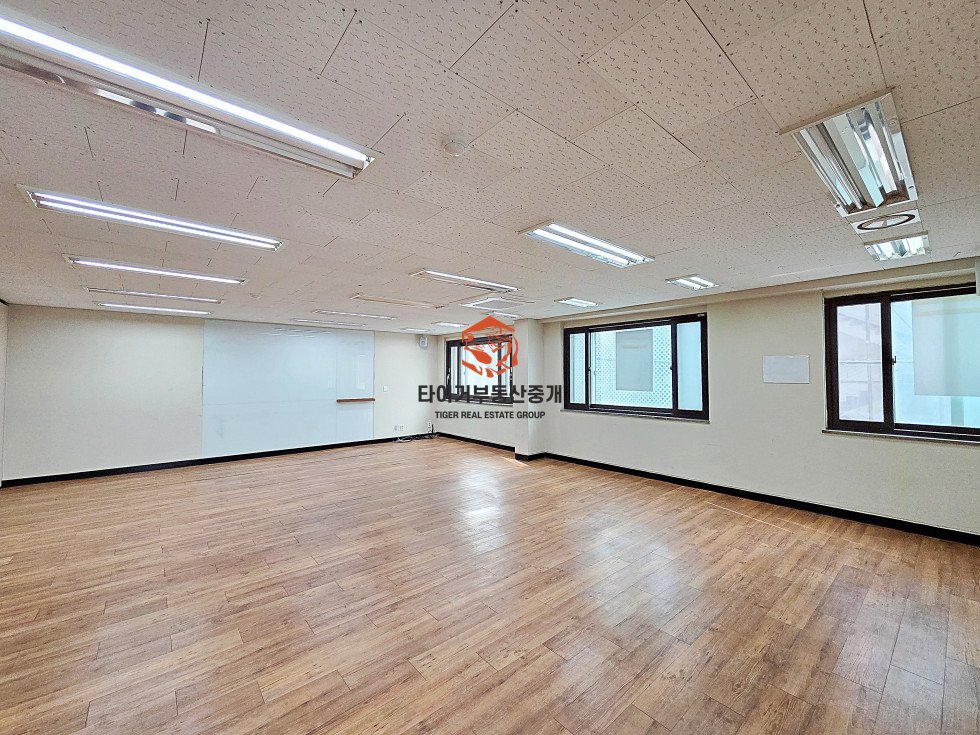 사진 5