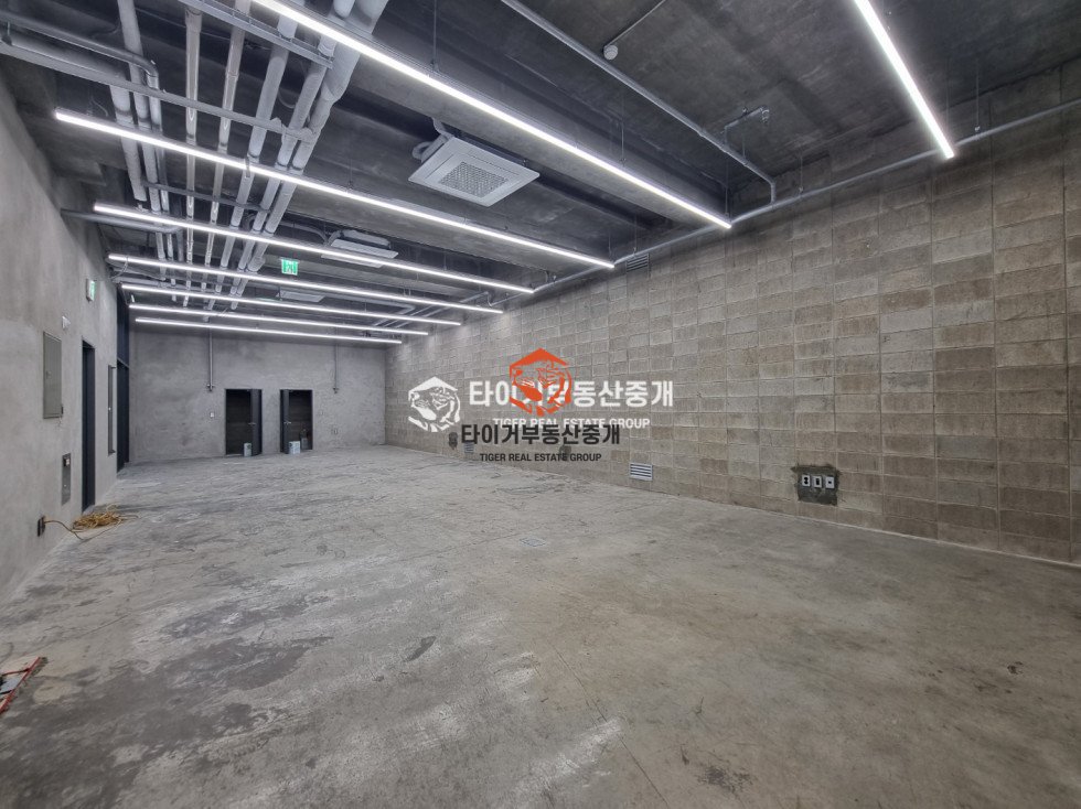 사진 9