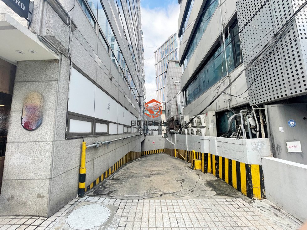 사진 12