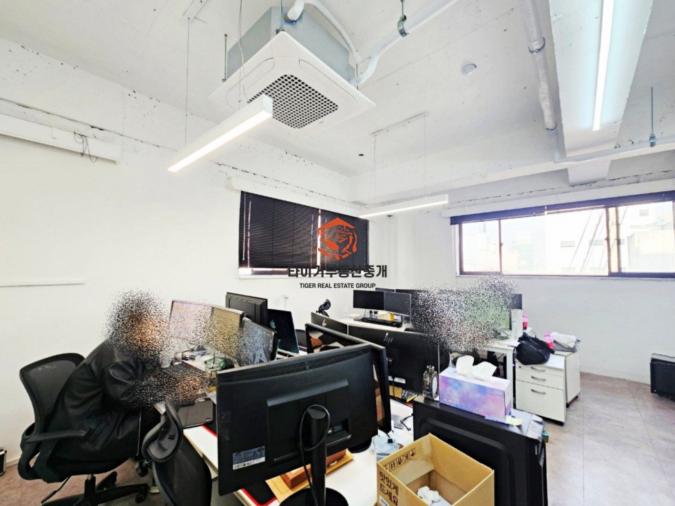 사진 4