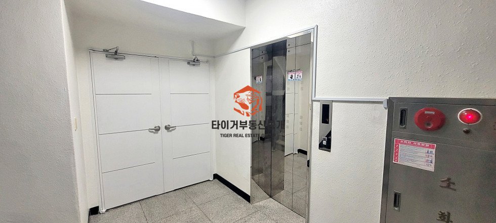 사진 11