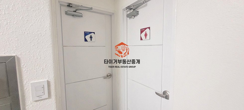 사진 15