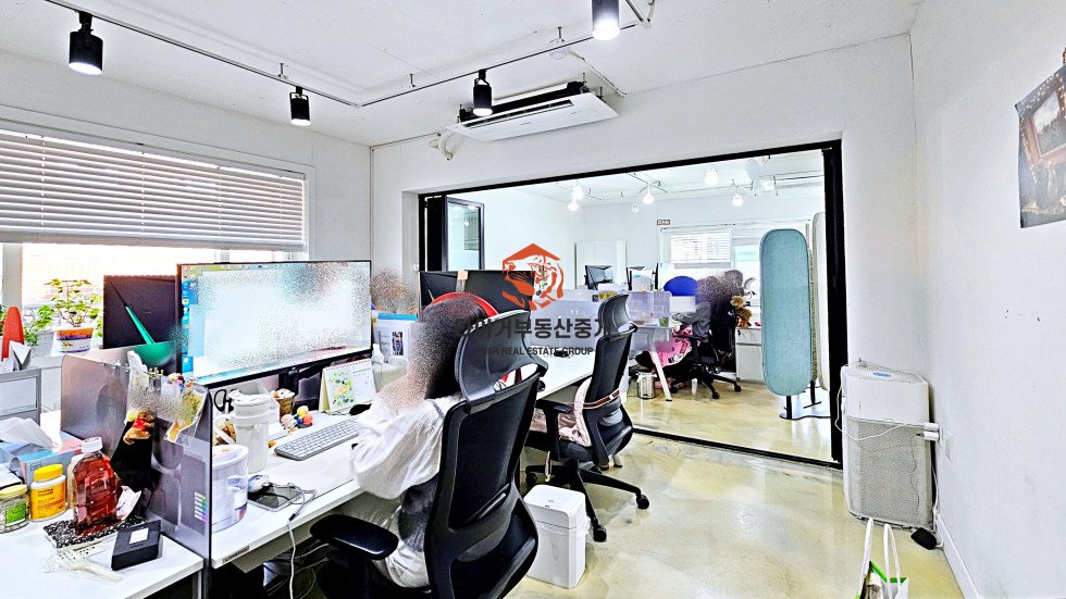 사진 5