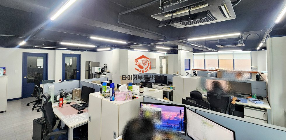 사진 5