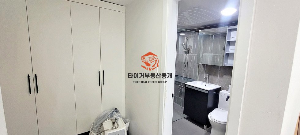 사진 5