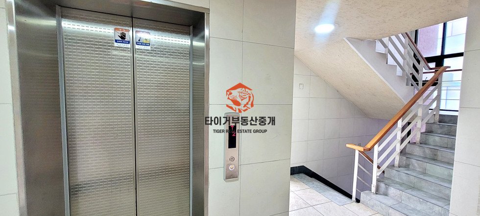 사진 12
