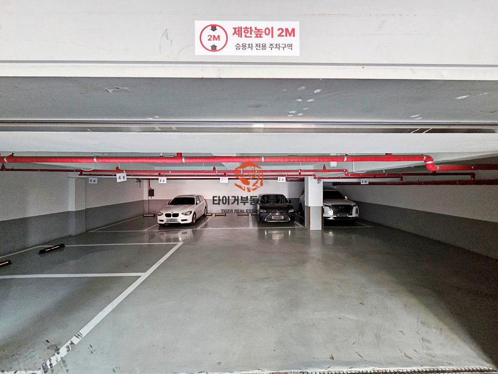 사진 2