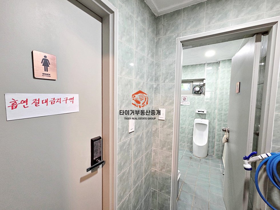 사진 13