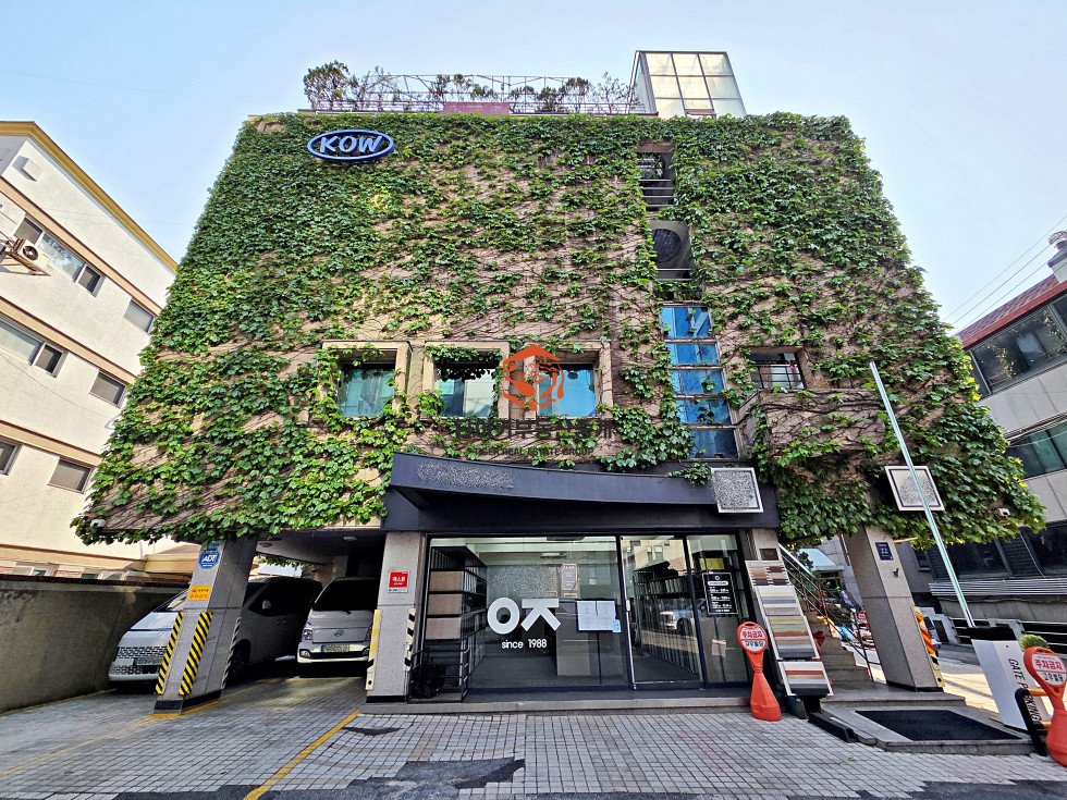 사진 15