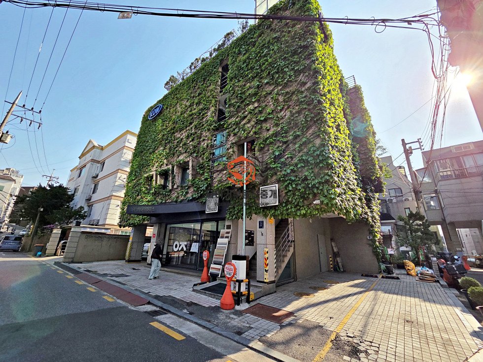 사진 16