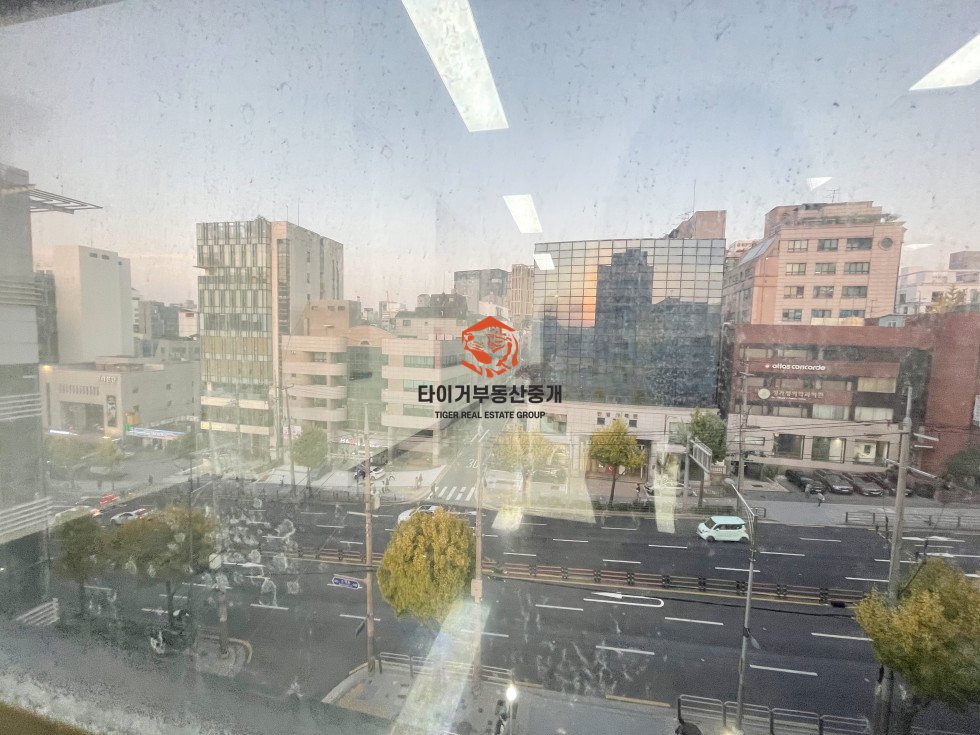 사진 7