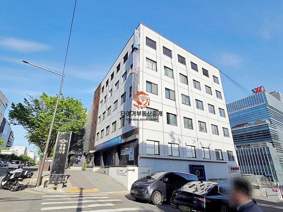 사진 11