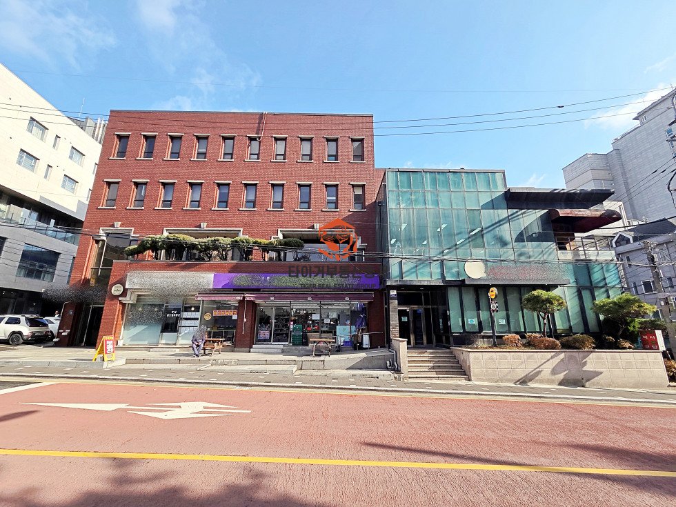 사진 11