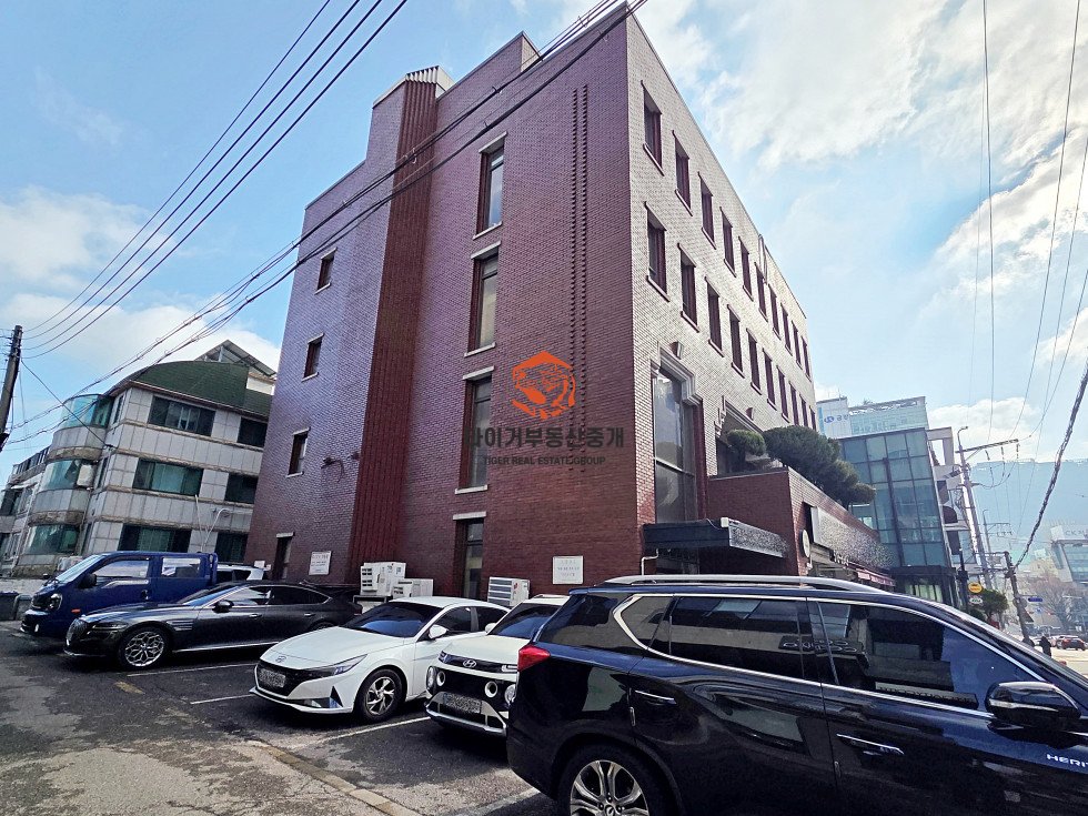 사진 12