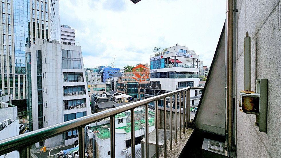 사진 11