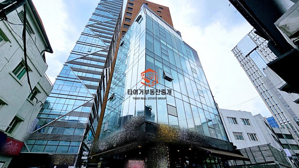 사진 15