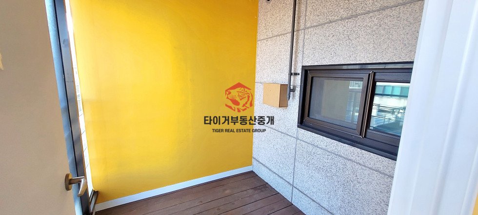 사진 10