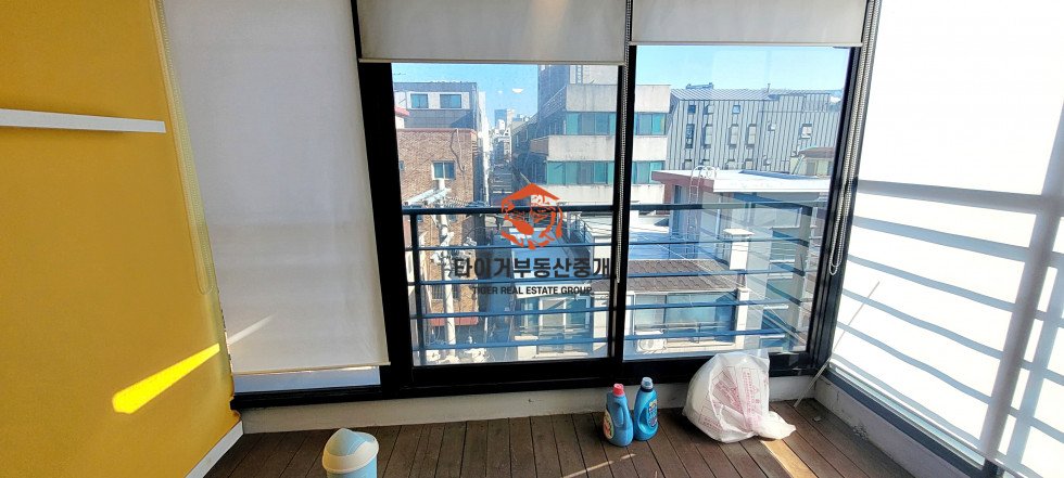 사진 12