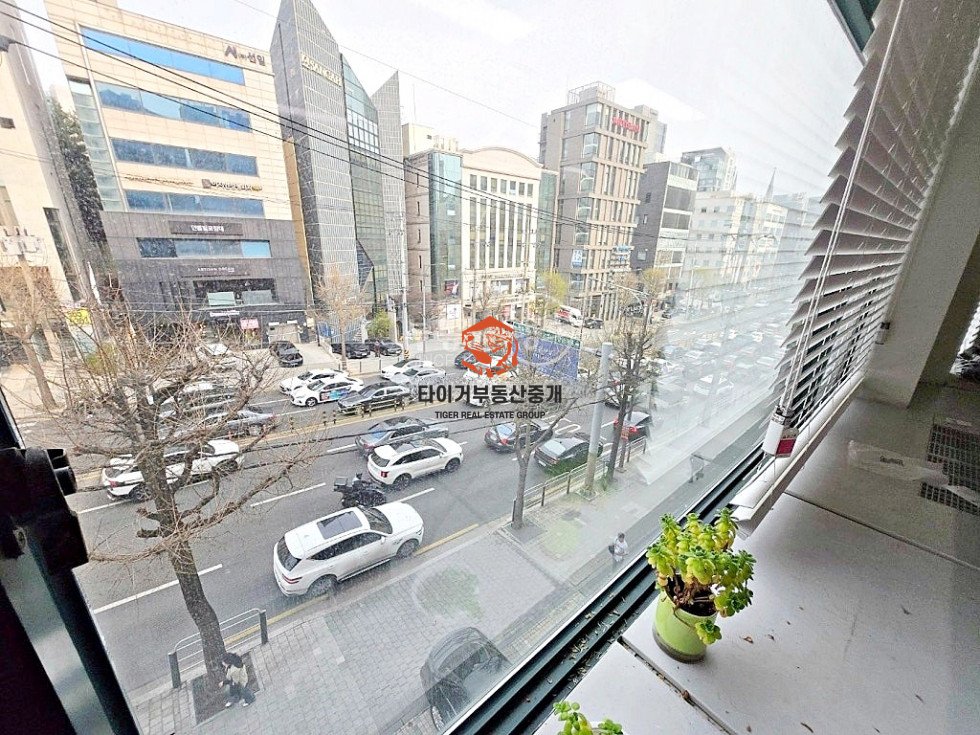 사진 6