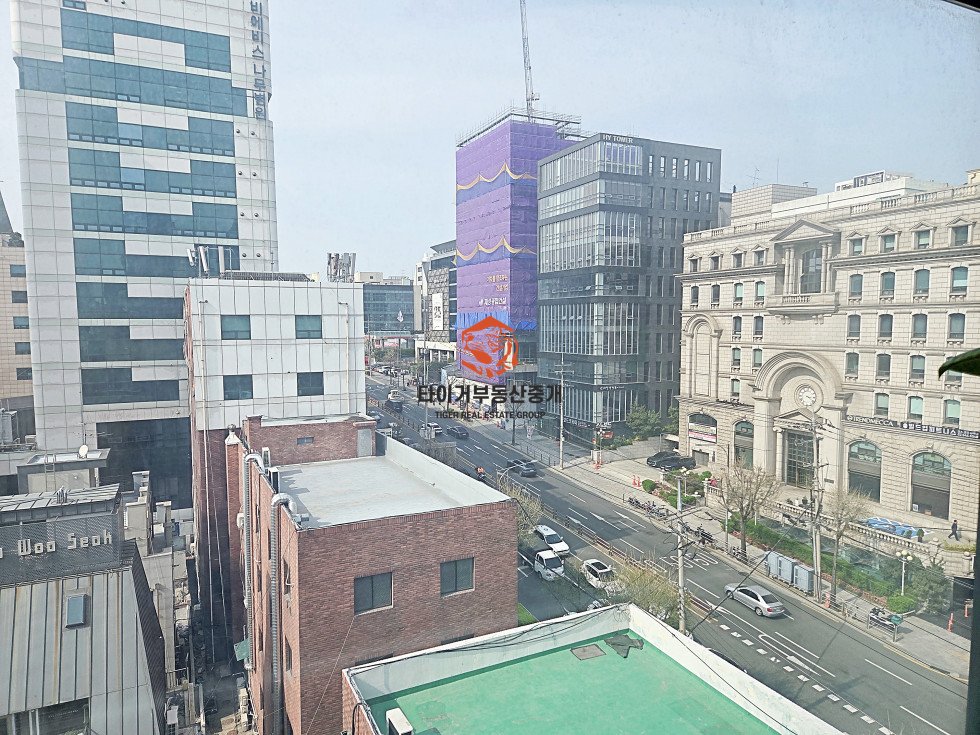 사진 15