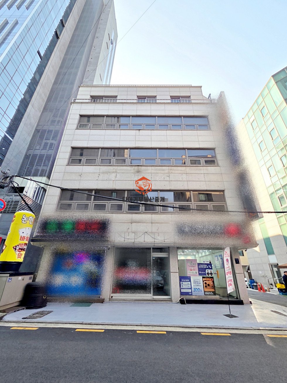 사진 5