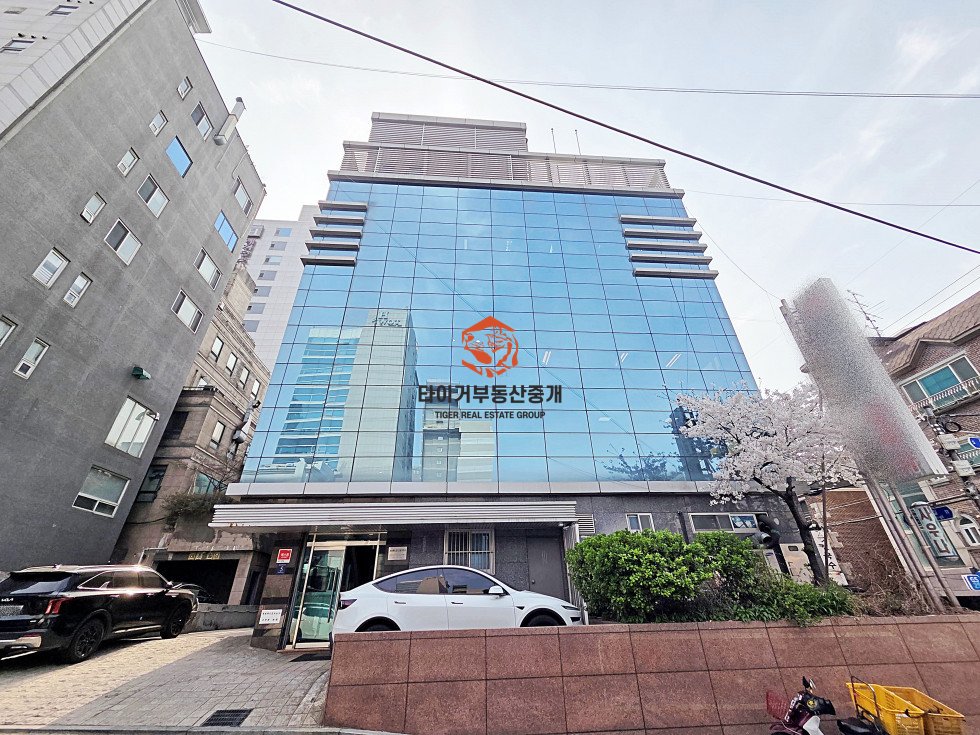 사진 13