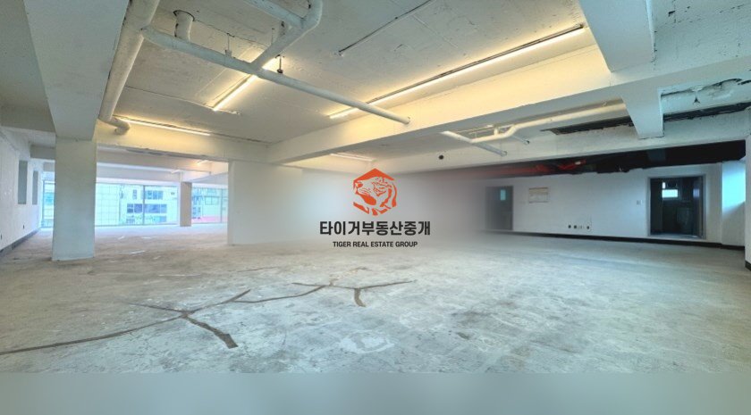 사진 9