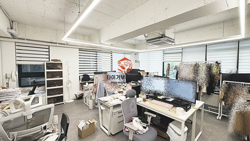 사진 6