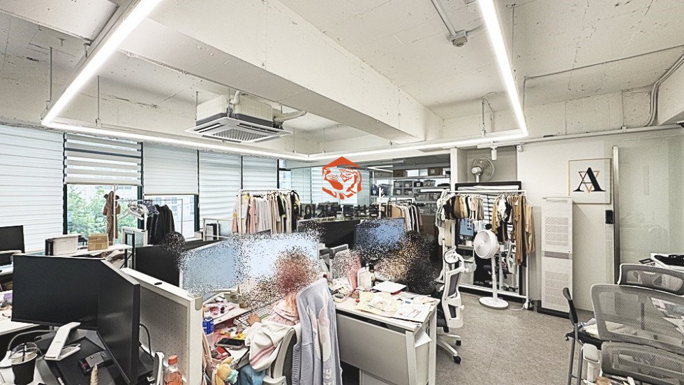 사진 9