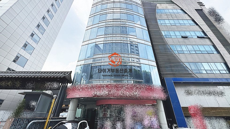 사진 12