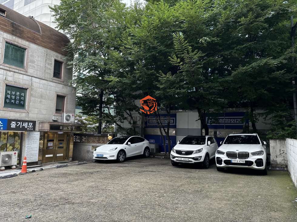 사진 10