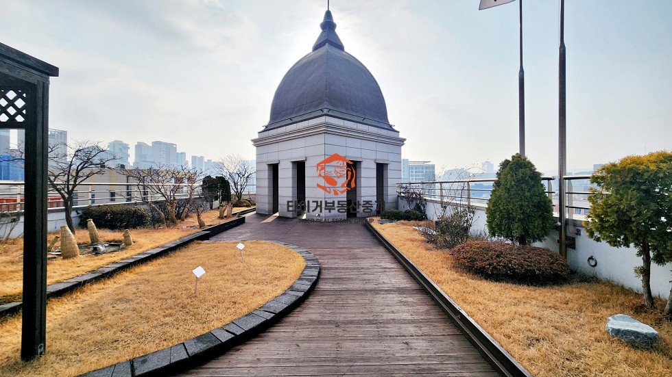 사진 10