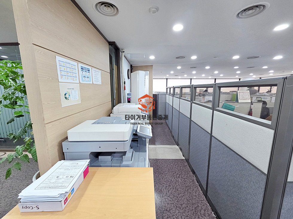 사진 6