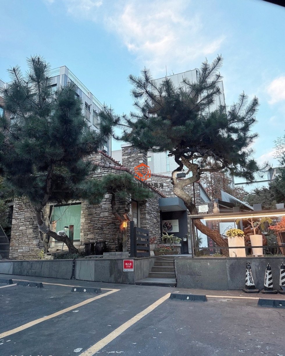 논현동