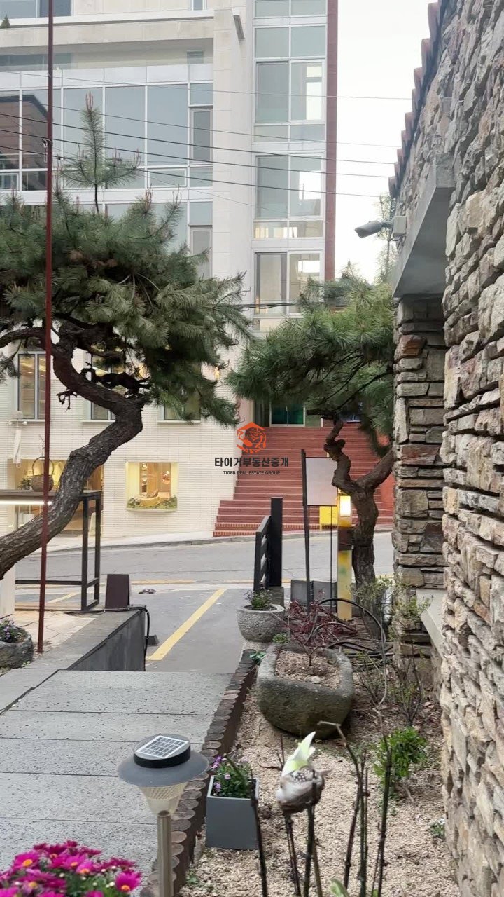 사진 2
