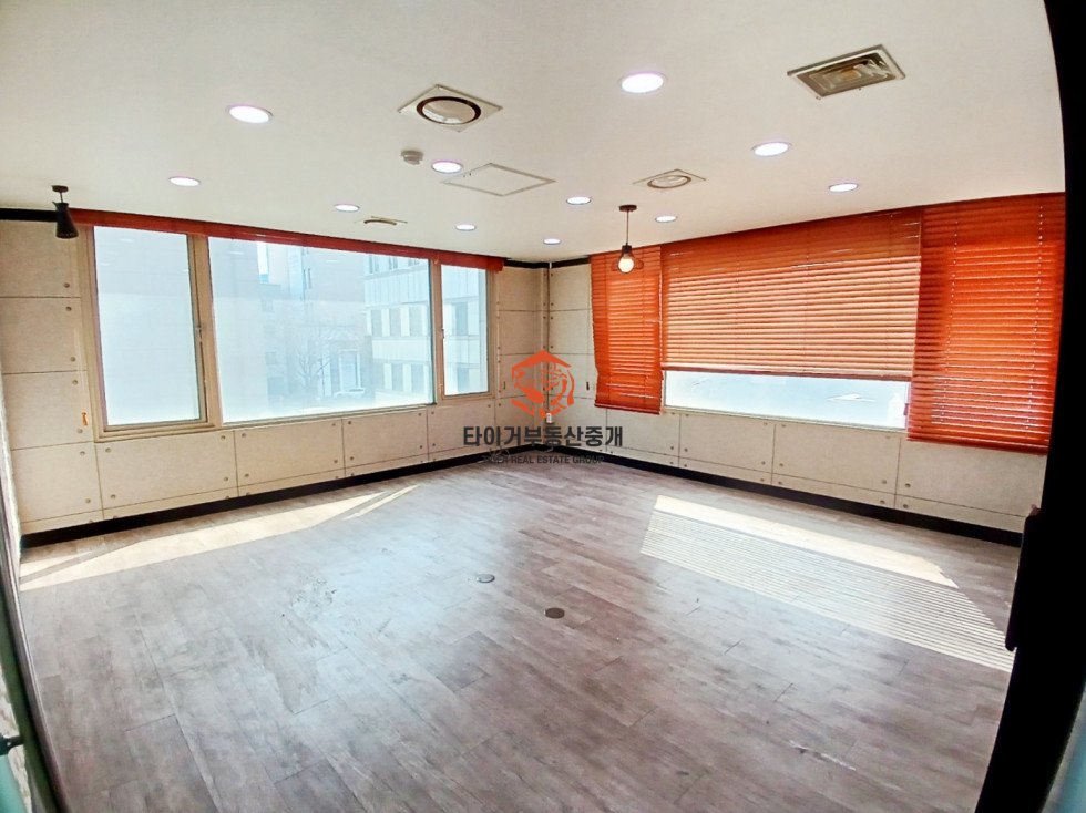 사진 8