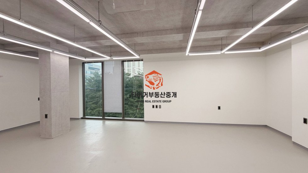 사진 6