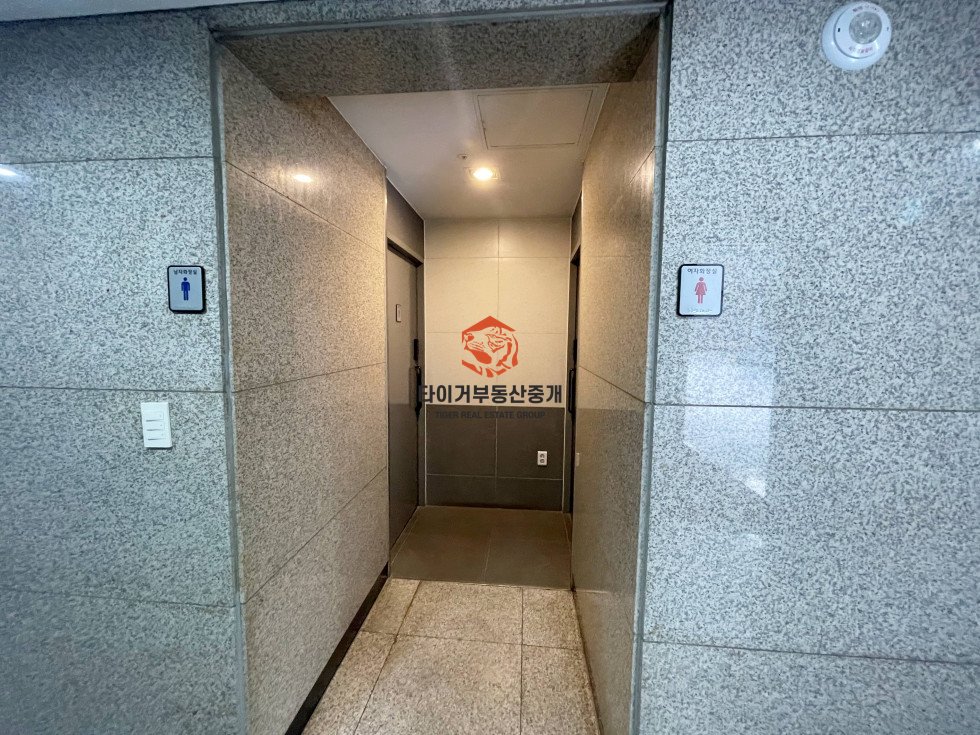 사진 5