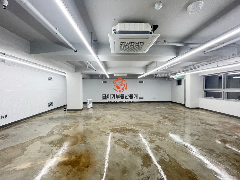 사진 13