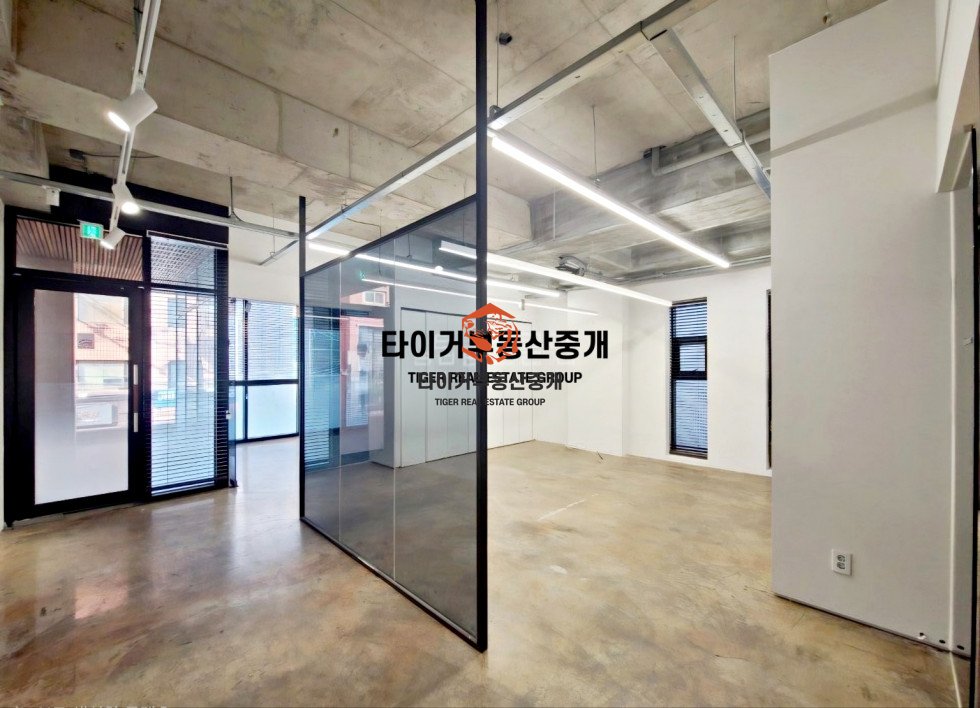 사진 4