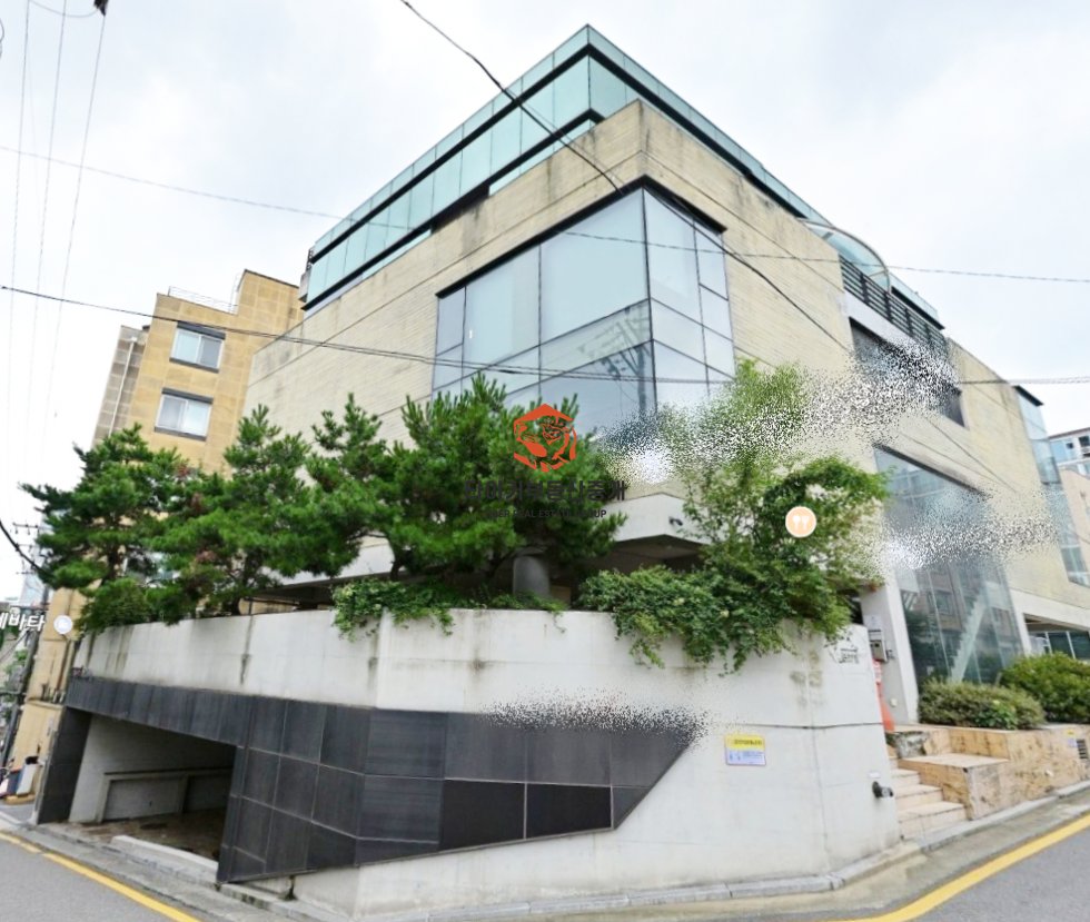 사진 19