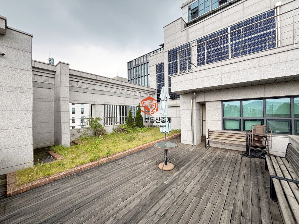 사진 10